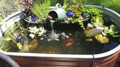 a garden pond filled with lots of plants and water flowing from a watering can into it