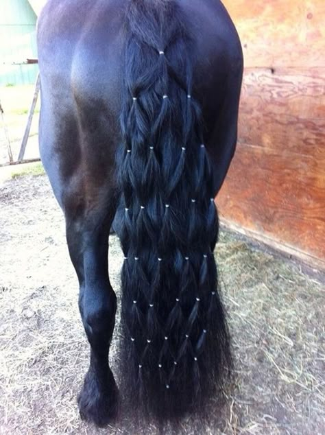 History Of Mane and Tail Braiding Horse Hair Styles, Horse Hairstyles, Mane Braids, Horse Mane Braids, Horse Braids, Horse Hair Braiding, Horse Braiding, Tail Braids, Horse Mane