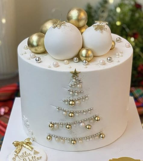 New Years Birthday Cake, December Birthday Cake, Cake Design For Birthday, Xmas Cake Decorating, Christmas Birthday Cake, Winter Torte, Easy Christmas Cake Recipe, Design For Birthday, Christmas Themed Cake