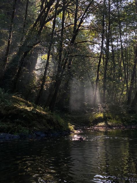 Forest Stream Aesthetic, Dark Oregon Aesthetic, Corvallis Oregon Aesthetic, Oregon Countryside, Bridget Core, Janecore Aesthetic, Danielle Core, Forest With River, River In The Forest