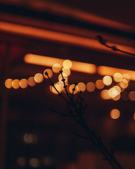 A blurry photo of a branch with lights in the background photo – Free Mood Image on Unsplash Blurry Lights Aesthetic, Garden Formal Wedding, Fence Ideas Garden, Drawing Garden Design, Easy Garden Ideas, Garden Engagement Photos, Fire Pit Garden, Blurry Lights, Borders Garden