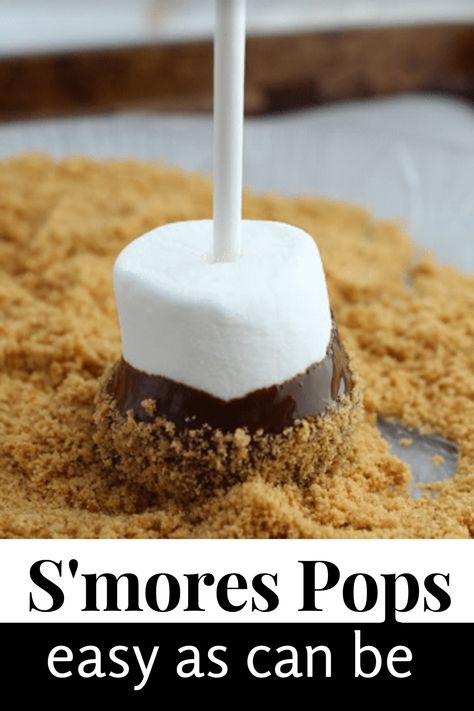 Smores Breakfast Ideas, Pre Made Smores, S’more Snack Ideas, Easy Smores Dessert No Bake, S’more Marshmallow Pops, S’more On A Stick, Bake Sale Ideas Smores, Smore Marshmallow Pops, Easy Frozen Smores