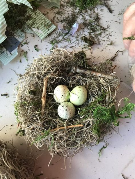 We saw the bird nests at Magnolia Market and decided that instead of paying the $20+ price tag, we'd make it ourselves. How to make a nest in 5 easy steps! How To Make A Birds Nest, Make A Birds Nest, Nest Craft, Bird Nest Craft, Birds Nests, Bird Nests, Easter Decorating, Magnolia Market, Diy Birds