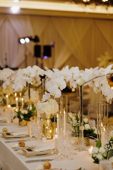 Bluegrass Chic | Timeless Luxury Wedding at The Ritz Carlton Orlando orchid centerpiece Orchids Table Decor, Orchid Decoration Wedding, Orchid Arrangements Wedding, Orchid Table Centerpiece, Orchid Wedding Decor, Wedding With Orchids, Orchid Wedding Centerpieces, Submerged Flower Centerpiece, Orchids Arrangements