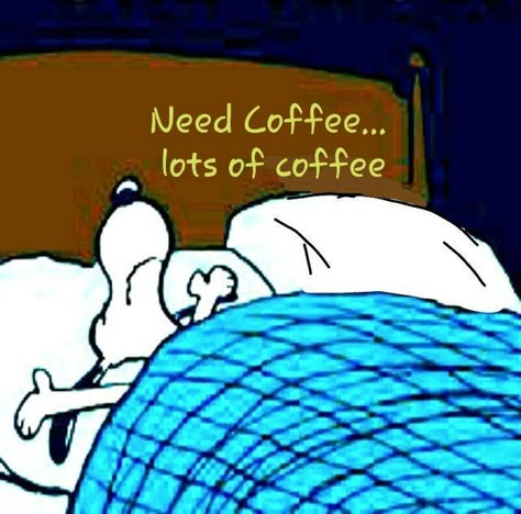 Need #coffee... lots of coffee. ☕️ Goodnight Snoopy, Snoopy Comics, Snoopy Cartoon, Good Morning Quotes For Him, Funny Good Morning, Snoopy Funny, Morning Quotes For Him, Snoopy Images, Funny Good Morning Quotes