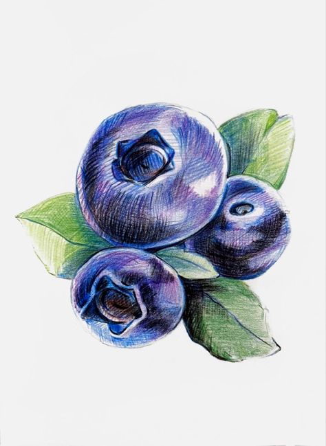 карандашами Colored Pencil Food Drawings, Food Color Pencil Drawing, Flower Sketches Colored Pencil, Pen Drawing Color, Color Pencil Drawing Reference, Landscape Drawing Colored Pencil, Small Colored Pencil Drawings, How To Colour With Pencils, Easy Colour Pencil Art