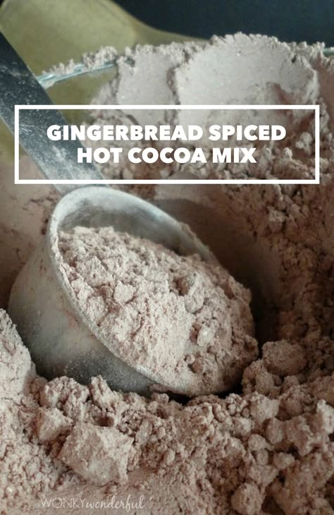 Gingerbread Spiced Hot Cocoa Mix recipe by Wonky Wonderful Hot Cocoa Flavor Ideas, Hot Cocoa Mix Recipe Gift, Coffee Mixes Recipes, Christmas Cocoa Recipe, Dry Drink Mix Recipes, Dry Hot Cocoa Mix Recipe, Gingerbread Mix Recipes, Spiced Hot Cocoa Mix Recipe, Best Hot Cocoa Mix Recipe