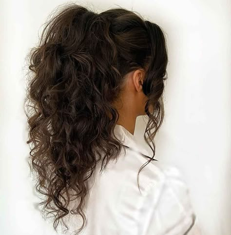 22 Examples of the Best High Ponytail Ideas You'll Ever See Messy High Ponytails Curly Hair, Messy Wavy Ponytail Hairstyles, Long Curly Hairstyles Ponytail, High Ponytail Hairstyles For Prom Curls, Curly Hair Formal Ponytail, Curled Hair High Ponytail, Curly Wavy Ponytail, Curly High Ponytail Prom, Ponytail Style For Wedding