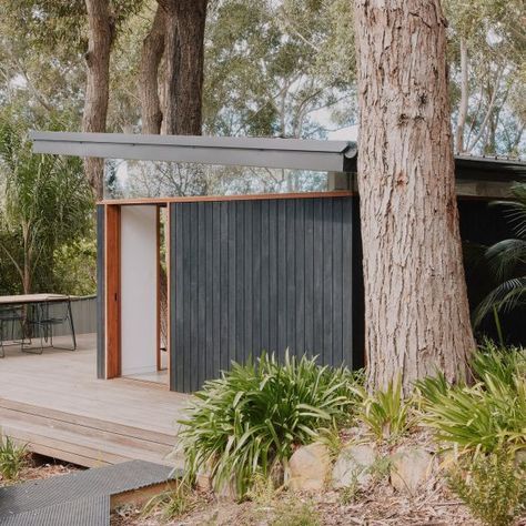 Blackened wood | Dezeen Pnw Architecture, Monopitch Roof, Compact Garden, Simple Architecture, Contemporary Garden Rooms, Cow Dog, Sauna House, Roof Extension, Passive Design