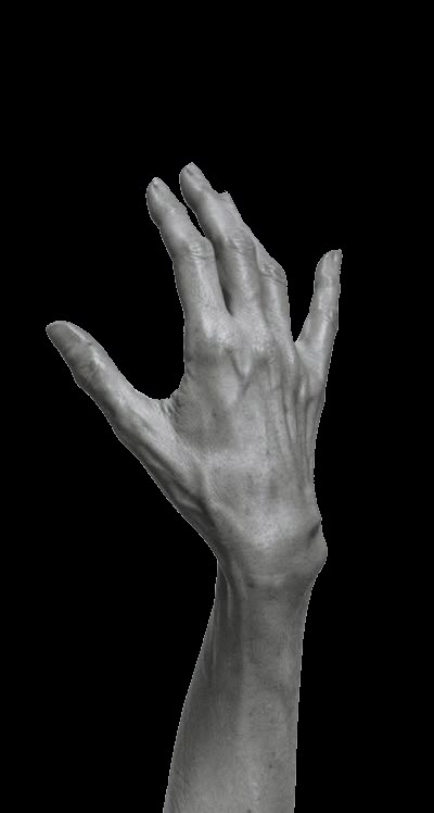 Cool Hand References, Hands Art Reference Photo, Hand Figure Drawing Reference, Masculine Hand Reference, Hands Reference Anatomy, Masculine Hands Reference, Hand Reference Study, Hand Reference Black And White, Life Study Reference