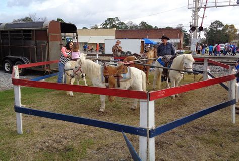 Petting Zoo Set Up Ideas, Pony Rides Birthday Party, Pony Ride Birthday Party, Canvas For Painting, Zoo Ideas, Creepy Carnival, School Carnival, Help Animals, Pony Rides