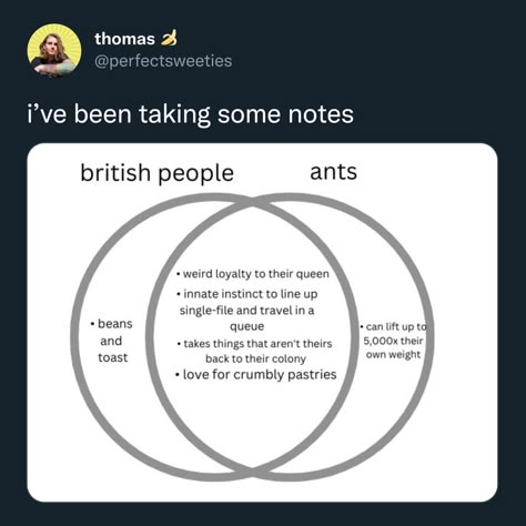 British People, Random Memes, What’s Going On, Really Funny Memes, Makes Me Laugh, Tumblr Funny, Funny Posts, Ha Ha, Ants