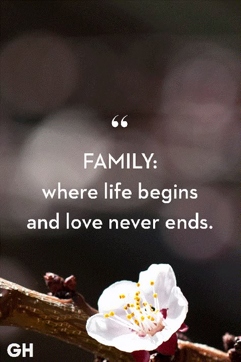 Family Fun Quotes, Family Values Quotes, Family First Quotes, Family Quotes Images, My Family Quotes, Quote About Family, Love My Family Quotes, Unity Quotes, Fake Family Quotes