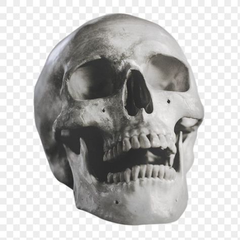 Transparent Halloween Png, Pictures With Transparent Background, Graphic Design Skull, Skull Png Aesthetic, Images With Transparent Background, Transparent Design Graphic, Graphic Design Elements Png, Halloween Icons Png, Halloween Png Images