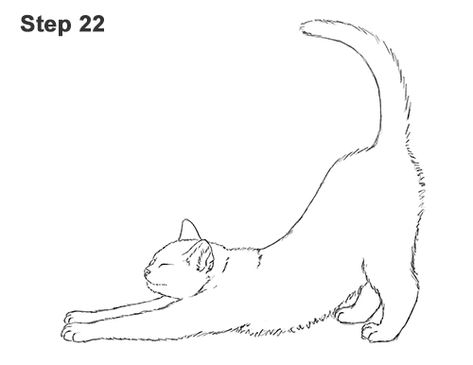 Draw a Tabby Cat Stretching 22 Cat Stretch Tattoo, Cat Drawing Tattoo, Cats Stretching, Tattoo Gato, Stretching Cat, Draw A Cat, Cat Drawing Tutorial, Cats Art Drawing, Cat Stretching