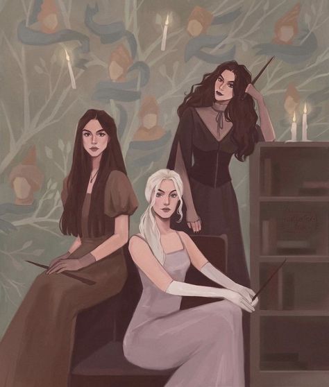 Sisters Of House Black, Andromeda Black, Narcissa Black, Bellatrix Black, Malfoy Family, Harry Potter Illustrations, Black Sisters, Harry Potter Artwork, Bellatrix Lestrange