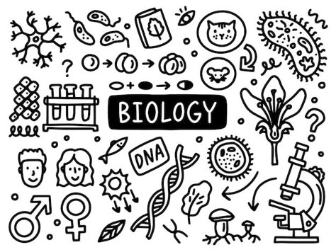 Biology doodle line set school universit... | Premium Vector #Freepik #vector #doodle #doodle-sketch #cartoon-doodle #cartoon-line Bio Science Aesthetic, Biology Doodle Art, Biology Aesthetic Cover Page, Biology Art Draw, Cute Biology Doodles, Biology Logo Design, Biology Drawing Ideas, Biology Cover Page Design, Biology Doodles