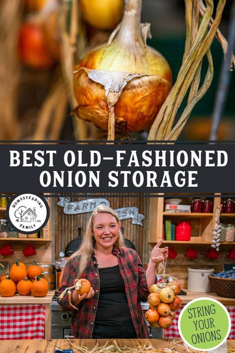 How To Store Onions For Winter, Storing Onions In Kitchen, Onion Storage Ideas How To Store, How To Dry Onions For Storage, Braiding Onions For Storage, Onion Curing Rack, Drying Onions For Storage, How To Keep Onions Fresh How To Store, How To Store Onions And Potatoes