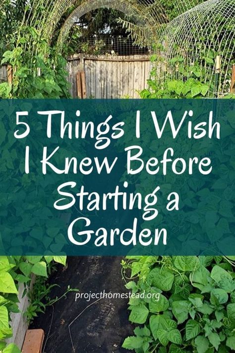 5 Things I Wish I Knew Before Starting a Garden - Project Homestead Crop Garden Design, Raised Garden With Greenhouse, Starting A Raised Garden For Beginners, Garden Size For Family Of 5, My First Garden Backyards, Designing A Vegetable Garden, Food Garden Layout Design, Starting A Garden Bed, Starting A Cottage Garden