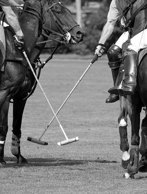 New rounds, new chances. Ham Polo Club Polo Riding Aesthetic, Tom Buchanan Aesthetic, Polo Aesthetic Sport, Polo Match Aesthetic, Polo Club Aesthetic, Horse Polo Aesthetic, Polo Game Aesthetic, Polo Horse Aesthetic, Polo Sport Aesthetic