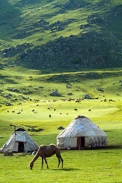 8,046 Mongolia Photos and Premium High Res Pictures - Getty Images Mongolian Village, Nomadic Aesthetic, Mongolia Aesthetic, Mongolia Nature, Mongolian Steppe, Mongolian Culture, Mongolia Travel, Us Friends, Hunza Valley