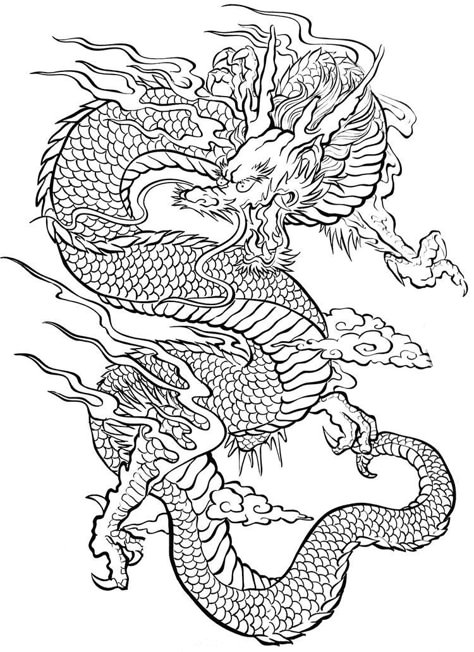 Tattoo Coloring Pages, Traditional Japanese Dragon, Dragon Tattoo Drawing, Asian Dragon Tattoo, Tattoo Coloring Book, Dragon Tattoo Art, Japanese Dragon Tattoo, Kunst Tattoos, Japanese Dragon Tattoos