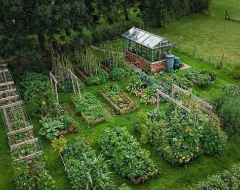 Homestead Gardens, Thriving Garden, Veg Garden, Have Inspiration, Vegetable Garden Design, Garden Layout, Veggie Garden, Farm Gardens, Chapter 1