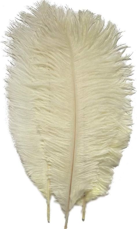 Amazon.com: Sowder 50pcs Natural 8-10inch(20-25cm) Ostrich Feathers Home Wedding Decoration(ivory) : Arts, Crafts & Sewing Gatsby Vibes, Wedding Party Centerpieces, Feather Centerpieces, Felt Headband, Coloured Feathers, Wedding Numbers, Wild Grass, Feather Decor, Painted Wine Bottles