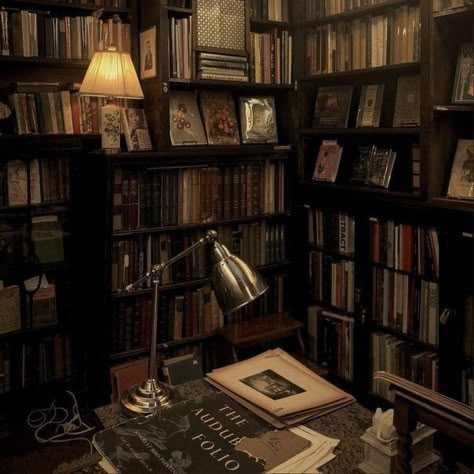 Dark Academia Widget, Lots Of Books, Classic Academia, Dark Acadamia, Academia Aesthetics, Chaotic Academia, Aesthetic Dark Academia, Library Aesthetic, Casa Vintage