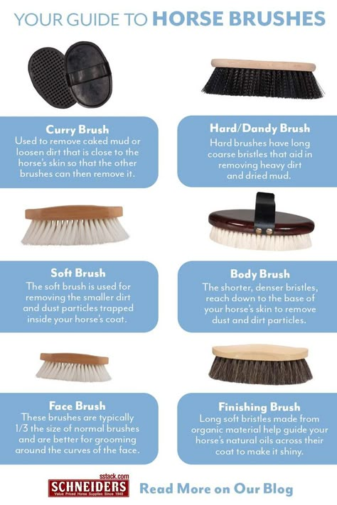 Your Guide to Horse Brushes How To Groom A Horse Properly, Horse Care Hacks, How To Groom A Horse, How To Care For Horses, Caring For Horses, Horse Tack Knowledge, Different Types Of Horses, Things For Horses, Horse Hoof Care