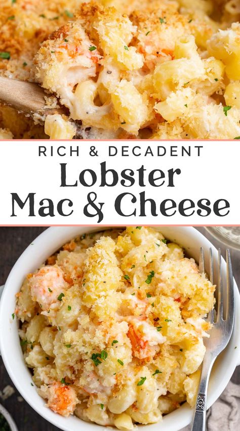 Creamy, decadent lobster mac and cheese is perfect for any holiday, date night, or special occasion. Luscious lobster meat and a rich sauce made with two types of cheese transform ordinary macaroni into a delectable, gooey, baked mac and cheese that's guaranteed to impress. Lobster Mac N Cheese, Lobster Mac N Cheese Recipe, Seafood Mac And Cheese, Bake Mac And Cheese, Lobster Mac, Lobster Mac And Cheese, Mac Cheese Recipes, Lobster Meat, Lobster Recipes