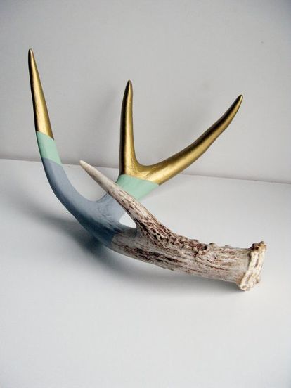 Diy Antlers, Painted Antlers, Antler Ideas, Deer Antler Decor, Boho Store, Antlers Decor, Antler Decor, Antler Crafts, Deer Horns