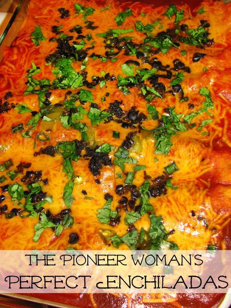 Pioneer Woman Perfect Enchiladas- Hot and bubbly and amazingly delicious! These beef enchiladas are from The Pioneer Woman on Food Network. Pioneer Woman Beef Enchiladas Ree Drummond, Pioneer Women Beef Enchiladas, Six Sisters Enchiladas, Pioneer Woman Enchilada Casserole, Pioneer Woman Lazy Red And Green Enchiladas, Sheet Pan Enchiladas Pioneer Woman, Enchilada Skillet Pioneer Woman, Pioneer Woman Beef Enchiladas, Best Ever Enchiladas