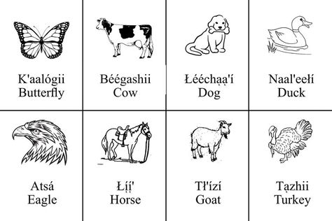 Navajo Language (Diné Bizaad) | Here are some flash cards for you to download and teach your little ones | Facebook Navajo Words, Navajo Language