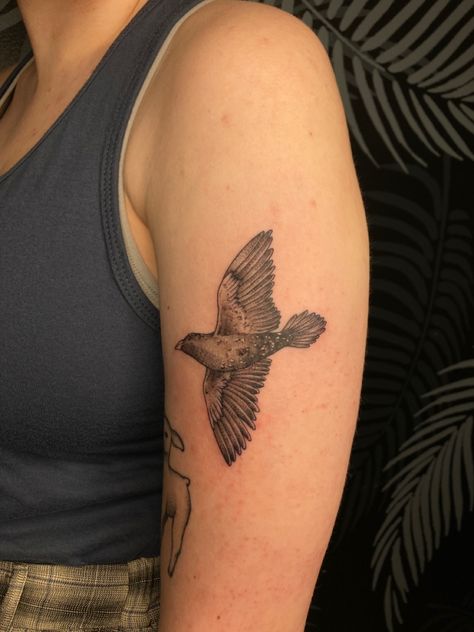 Starling Tattoo, Osprey Tattoo, Disposable Income, Tattoo Nails, Tattoo Board, Little Tattoos, Ink Ideas, Starling, I Dont Know