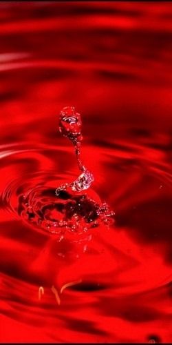 HAVE A NICE DAY Colors Of Fire, I See Red, Red Water, Simply Red, Red Wallpaper, Blood Red, Root Chakra, Red Aesthetic, Shades Of Red