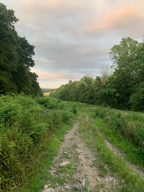 New Jersey Summer Aesthetic, Suburban Summer Aesthetic, Cold Summer Aesthetic, Minnesota Summer Aesthetic, Andrew Aesthetic, Northeast Summer, New Jersey Aesthetic, Suburban Summer, Hometown Aesthetic