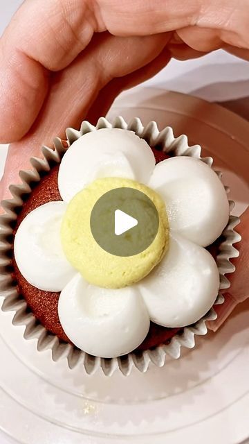 Cupcakes by Megan on Instagram: "Daisy cupcakes  #cupcakes  #cupcakedecorating  #cupcakesofinstagram  #daisy  #daisycupcakes" Easy Cupcakes Decoration, Daisy Cupcakes, Cupcake Videos, Frosting Flowers, Cupcake Tutorial, Daisy Cakes, Eat Cupcakes, Amazing Food Decoration, Cupcakes Decorados