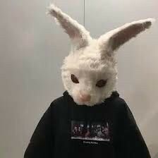 Rabbit Mask Aesthetic, Rabbit Icon, Rabbit Mask, Weird Photography, Byakuya Kuchiki, Bunny Mask, Mask Aesthetic, Twitter Artist, Dreamcore Weirdcore