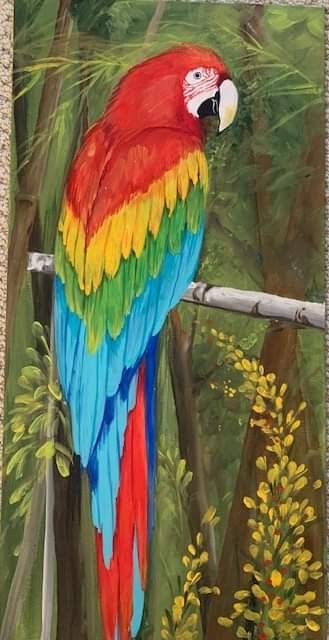 Macaw Parrot Drawing, Macaw Painting, Burung Kakatua, Parrot Drawing, Parrot Painting, Elephant Coloring Page, Painting Flowers Tutorial, Easy Art For Kids, Parrots Art