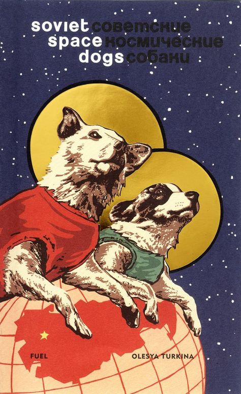 On November 3, 1957, a dog named Laika was launched into space on the Sputnik 2, as part of the Soviet space program. She had not always been known as Laika; the scientists that found her on the street had given her the name. Soviet Space Dogs, Belka And Strelka, Laika Dog, Space Dogs, Camera Vintage, Space Dog, Soviet Art, Space Race, Paper Wall Art