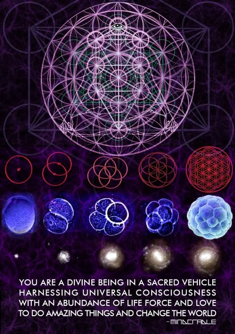 ∞ the round trip of infinity ∞ Divine Being, Universal Consciousness, Sacred Geometry Symbols, The Oregon Trail, Sacred Geometry Art, Spirit Science, Sacred Symbols, Geometry Art, Quantum Physics