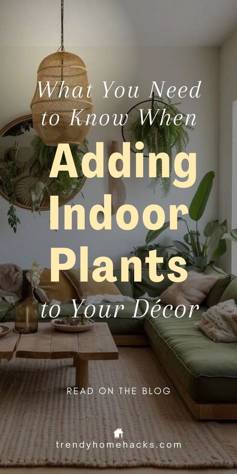 The placement of indoor plants is just as important as selecting the right ones. Have you ever considered how a plant's location impacts its health and your home’s aesthetics? This post provides the knowledge to select, place, and care for indoor plants. Whether you’re in a spacious house, a cozy apartment, or a stylish condo, there’s a plant that fits every space and lifestyle. Ready to enhance your home with plants? Click to read the full guide on the Trendy Home Hacks blog or save this pin! Placing Plants In Home, Plant Decor In Living Room, House With Indoor Plants, House Plant Placement, How To Add Plants To Your Home, House Plant Design Ideas, Organizing Plants Indoors, Big Planters Indoor, Plants In Office Space Interiors