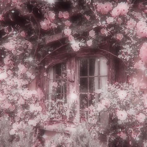 Pink Fantasy Aesthetic, Rosé Core, Pink Nature, Soft Pink Theme, Dreamy Photography, Baby Pink Aesthetic, Rosé Aesthetic, Nothing But Flowers, Pastel Pink Aesthetic