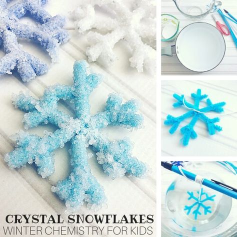 When the flakes start flying, get set up to make your very own sparkling, indoor snowflakes. Or maybe you live among the palm tress and dream of gently falling snow. Either way our beautiful crystal snowflakes are easy to make! You can enjoy your crystal snowflake ornaments all winter long with our simple borax crystal growing recipe! A classic science activity for homemade kid's STEM! CRYSTAL SNOWFLAKE ORNAMENTS! FUN WINTER SCIENCE EXPERIMENT! These crystal snowflakes and icicle ornaments are Borax Snowflakes, Snowflakes Science, Icicle Crafts, Crystals For Kids, Borax Crystals, Winter Science, Snowflakes Art, Growing Crystals, Snowflake Craft