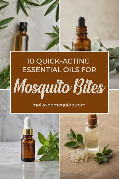 Discover the power of essential oils for mosquito bites with our DIY remedies. Find natural relief from itchiness and swelling using our homemade insect repellents. Ward off bugs effectively with our essential oil roller blend recipes and learn how to treat bug bites naturally. Stop the itch and soothe discomfort with anti-inflammatory oils in our anti-itch balms. Create the best homemade mosquito repellent using 10 essential oils known for repelling bugs. Your solution to bug bite soother is ju Essential Oil Anti Itch, Treating Mosquito Bites, Roller Blend Recipes, Essential Oils For Mosquitoes, Inflammatory Oils, Homemade Mosquito Repellent, Insect Repellent Homemade, Remedies For Mosquito Bites, Witch Hazel Uses