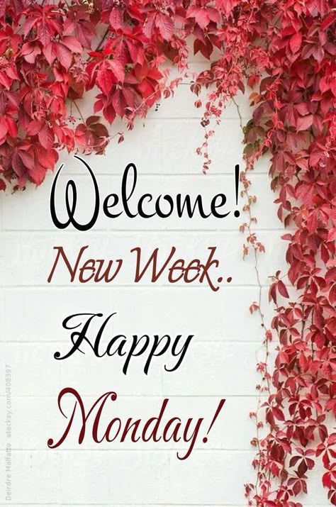 Happy Monday Images, Nice Good Morning Images, Monday Greetings, Monday Wishes, Happy Monday Quotes, Happy Monday Morning, Monday Morning Quotes, Monday Images, Inspirational Good Morning Messages