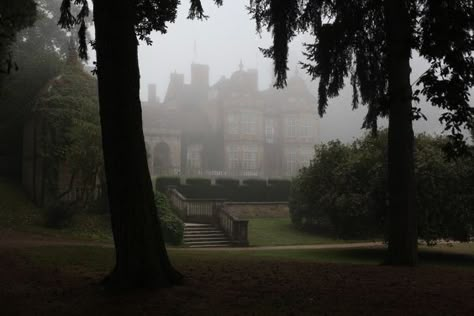 Juniper And Thorn, Manor Aesthetic, Mansion Aesthetic, Green Academia, Old Mansion, Human Teeth, Birds In The Sky, Old Manor, Victorian Mansions