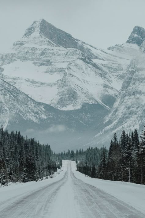 Canada Photography, Winter Szenen, Jasper National Park, Mountains Are Calling, Winter Scenery, The Mountains Are Calling, Winter Aesthetic, Alberta Canada, Winter Landscape