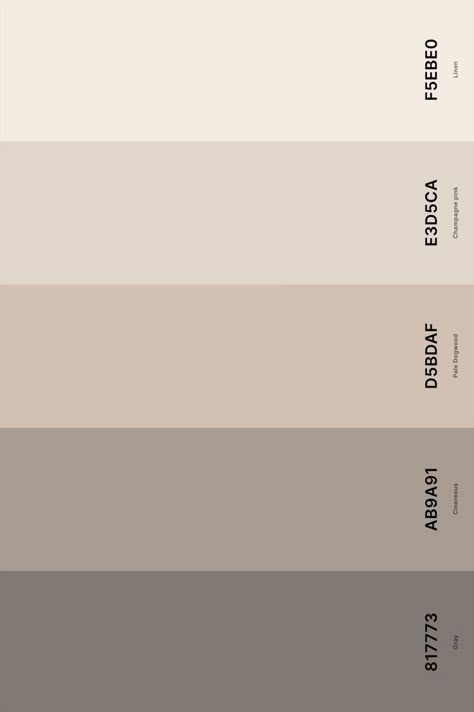 Color Palette For Room Bedrooms, Neutral Clean Color Palette, Base Color Palette, Calm Color Palette For Home, Beech Wood Color Palette, Colour Combinations For Interior, Cream Aesthetic Color Palette, Biscuit Color Palette, Pantone Neutral Palette